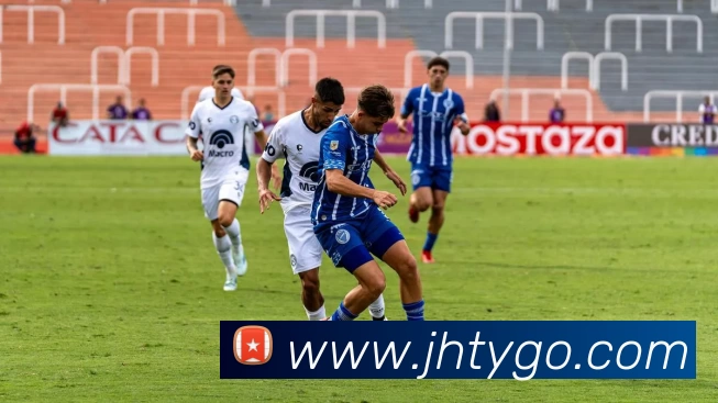 即嗨体育平台生态图